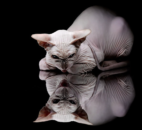 退役球员转型教练助力基层篮球人才培养和项目推广，篮球队员退役