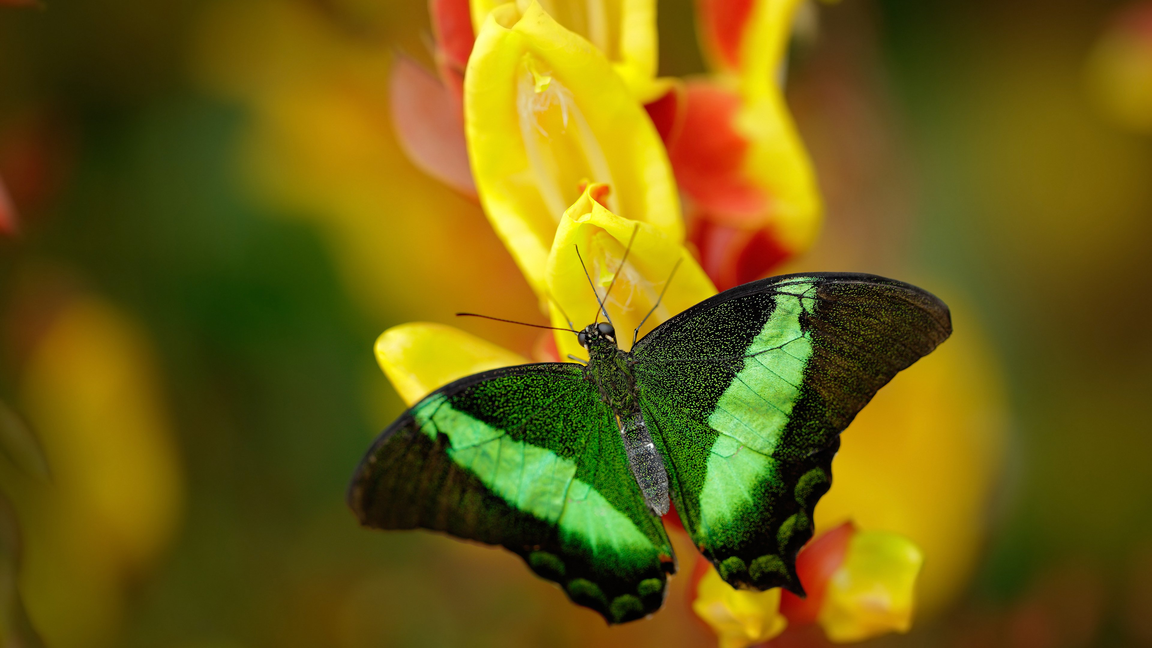 青训校区新增女性教练比例提高保障多样化指导，女教练招聘
