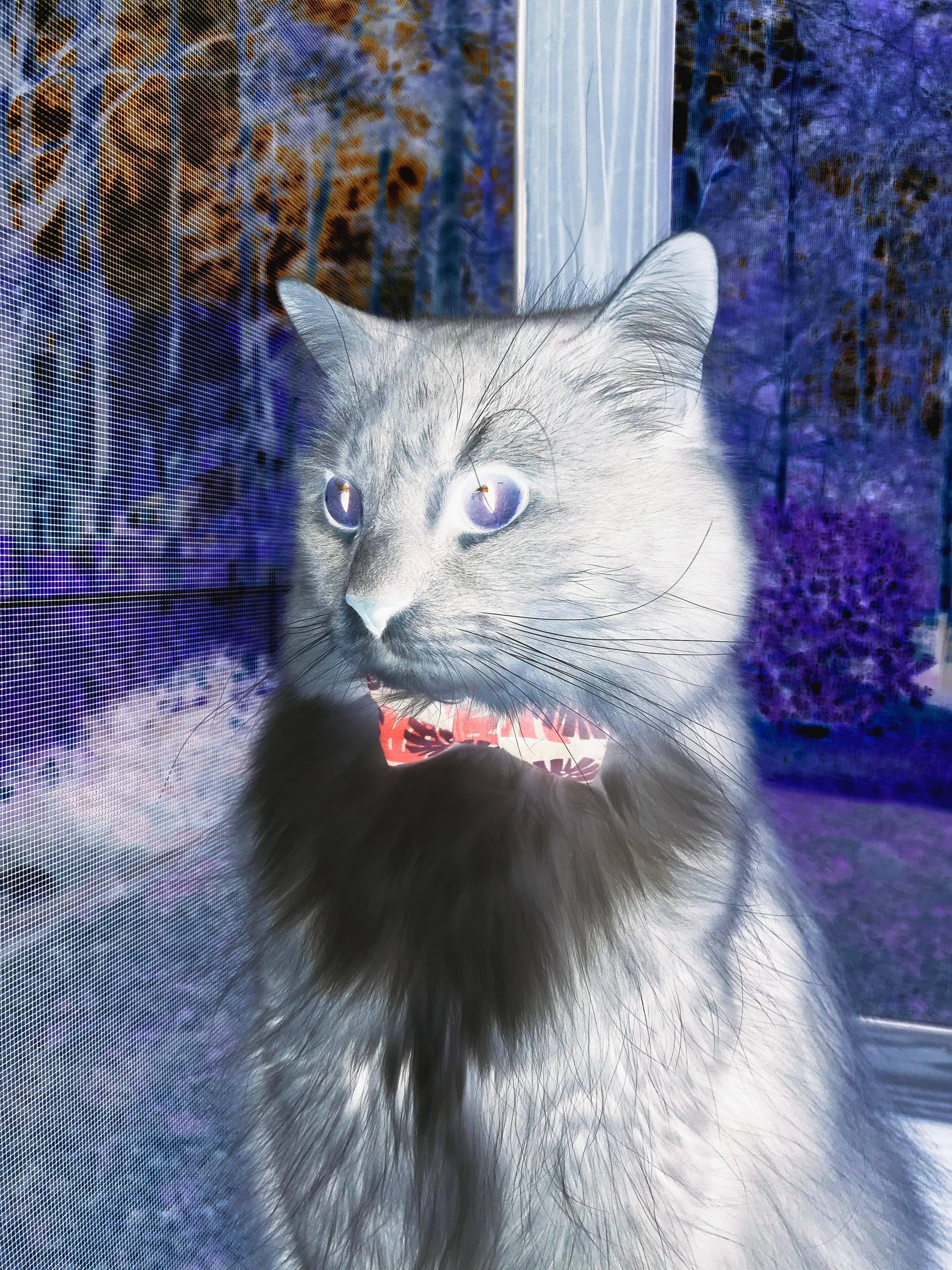 U17球员亮相：上海青训体系优势初现，辽宁北京仍具潜力，u17青年联赛